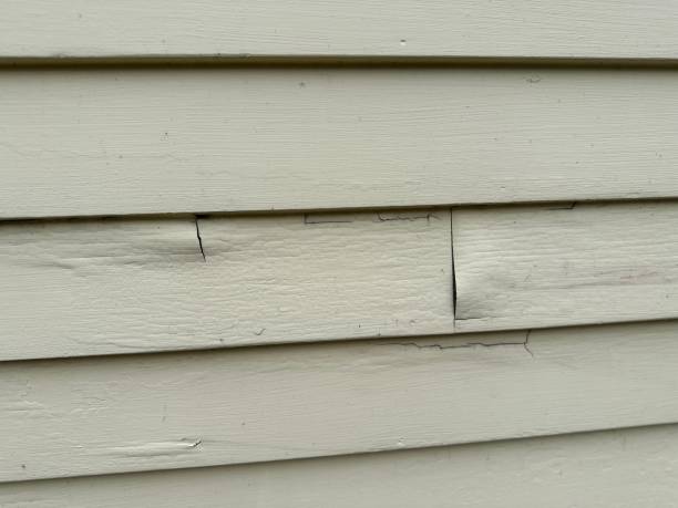 Reliable Baudette, MN Siding Services Solutions